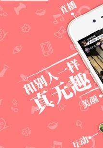 mimi在线观看,揭秘热门剧集背后的故事与魅力