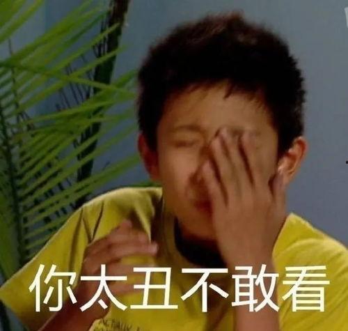 明星斗图表情包带字,趣味横生的文字盛宴