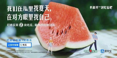 吃瓜里,揭秘吃瓜背后的趣味与真相