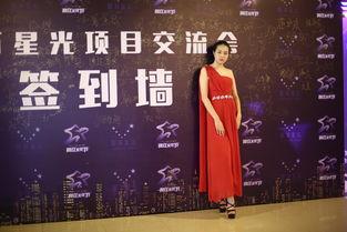 网红节2017百万星光