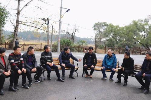 昌江新闻爆料事件最新,真相大白，背后原因令人震惊